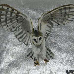 Owl.
