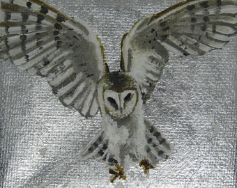 Owl.