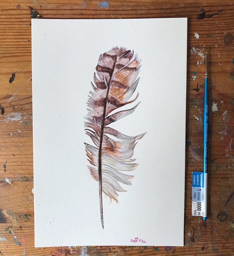 Op de afbeelding: Aquarel schilderij van een veer in bruin, beige en wit, met een fijne penseel en een waterpas. De veer is gedetailleerd met zichtbare penseelstreken en is gesigneerd "Sept 9 '22."