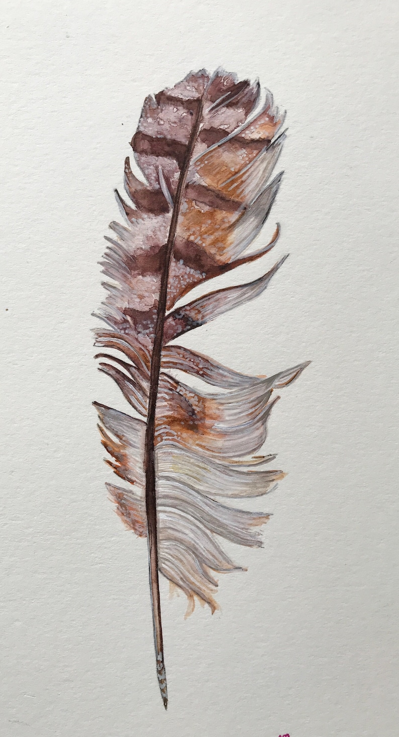 Op de afbeelding: Waterverfschilderij van een enkele veer. De veer heeft een donkerbruine schacht en een mix van bruine, bruingele en witte veertjes. Het kunstwerk is geplaatst tegen een effen witte achtergrond, die de delicate details van de veer benadrukt.