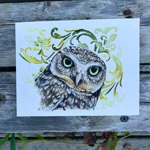 May include: A watercolour painting of an owl with green eyes, brown and grey feathers, and a white background. The owl is surrounded by a decorative floral pattern in shades of green and yellow.