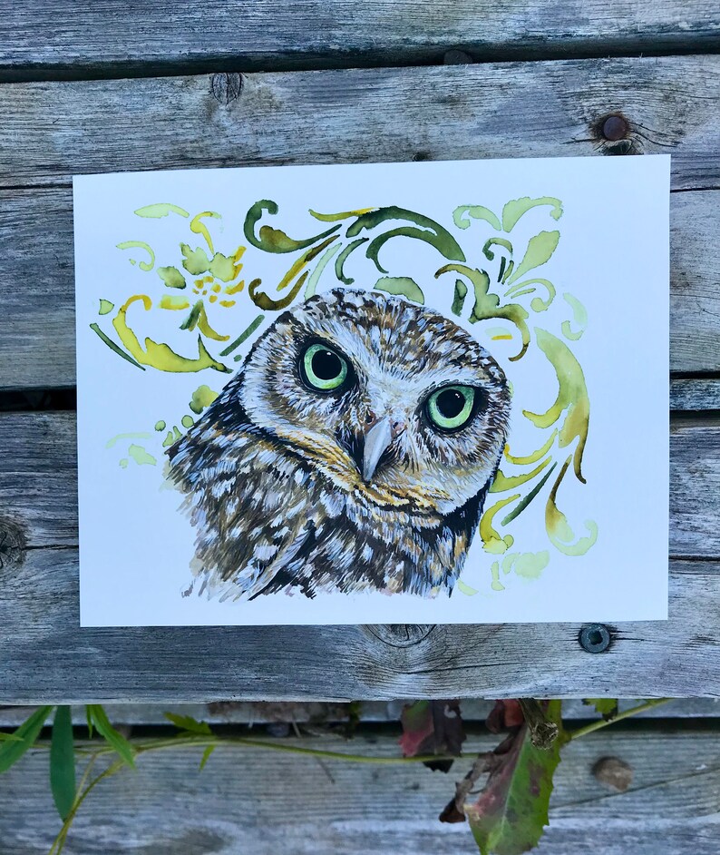 May include: A watercolour painting of an owl with green eyes, brown and grey feathers, and a white background. The owl is surrounded by a decorative floral pattern in shades of green and yellow.