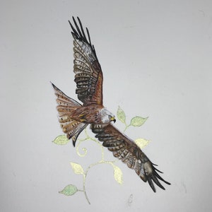 Red Kite Flying.
