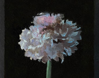 Pink Scabiosa - Peinture florale - Impression en édition ouverte