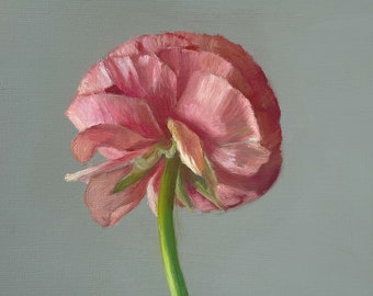 Peachy Ranunculus - Peinture florale - Impression en édition ouverte