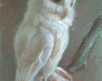 Open Edition Print - Albino Screech Owl - Impression à partir d’une minuscule peinture à l’huile