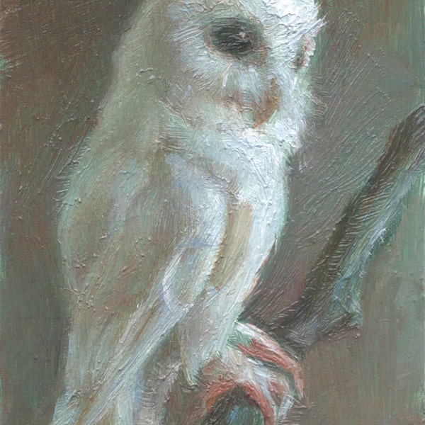 Open Edition Print - Albino Screech Owl - Print from tiny oil painting