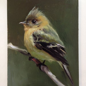 Tufted Flycatcher Open Edition Print of Original oil painting image 3