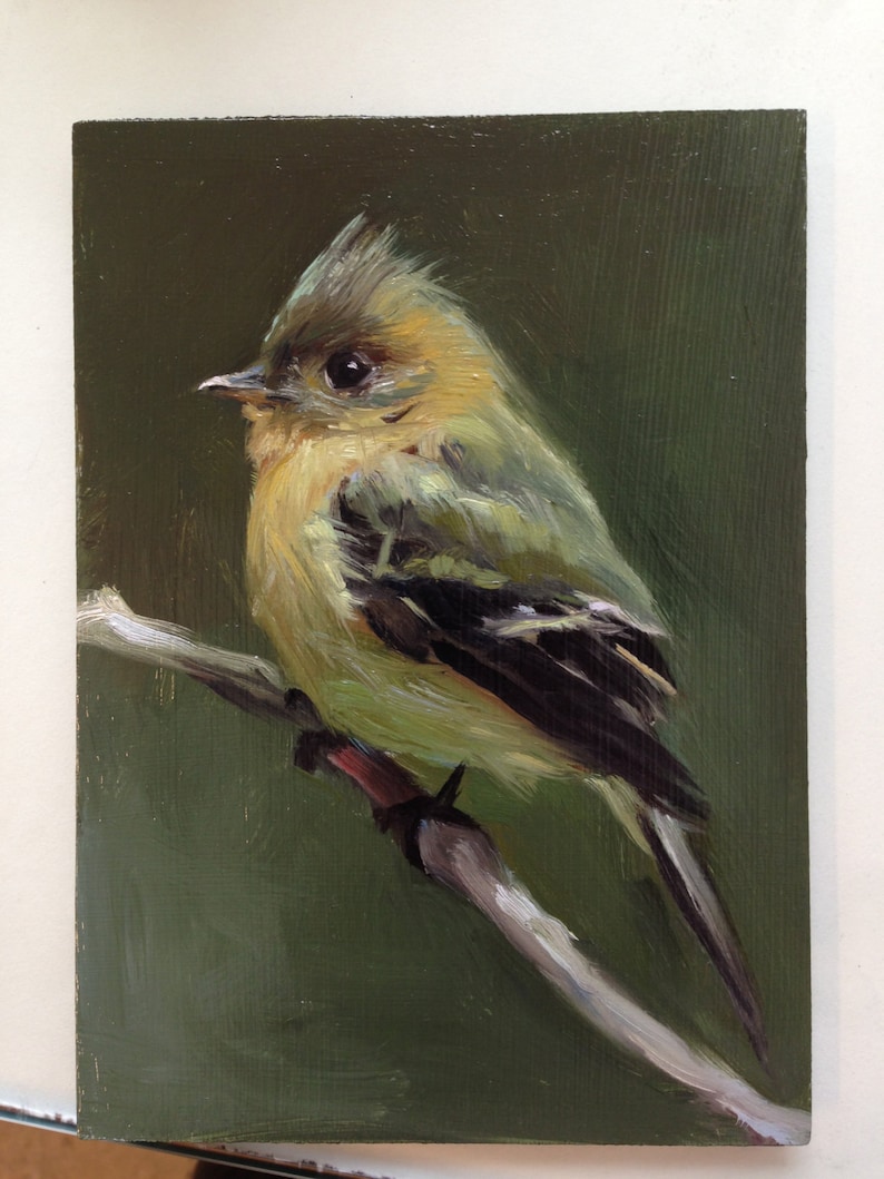 Tufted Flycatcher Open Edition Print of Original oil painting image 3