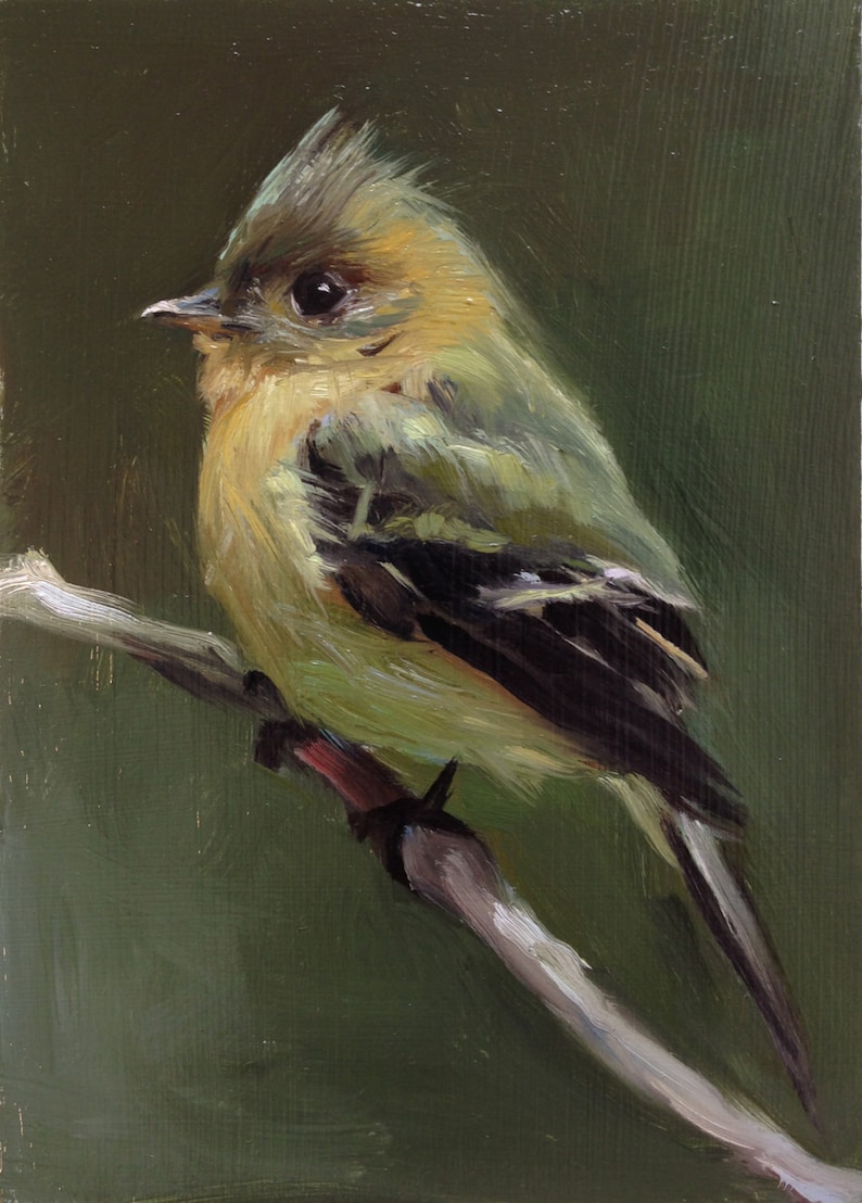 Tufted Flycatcher Open Edition Print of Original oil painting image 1