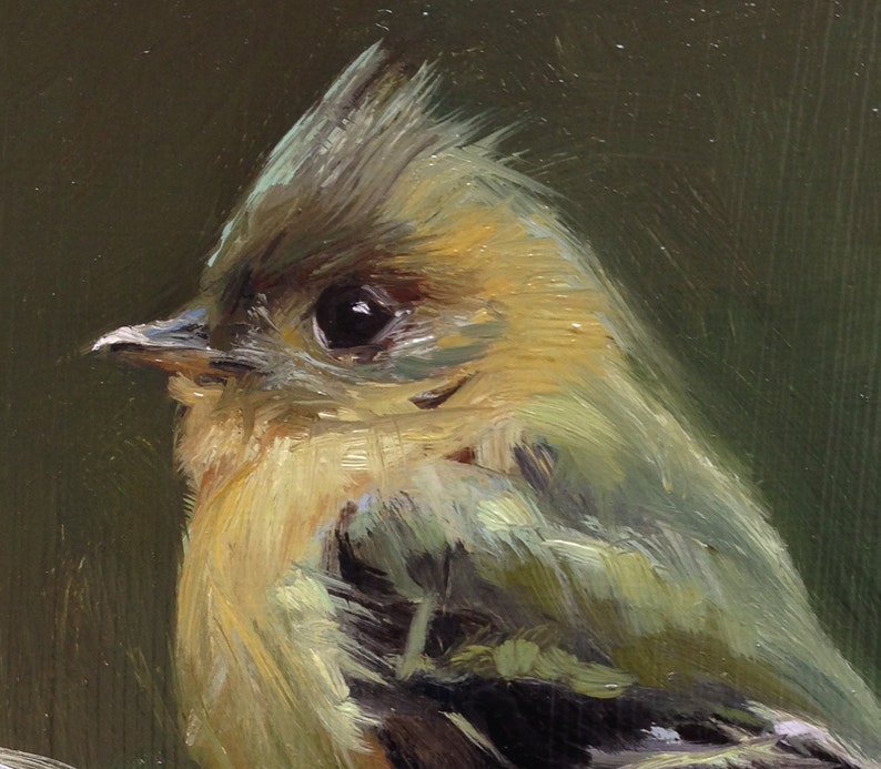 Tufted Flycatcher Open Edition Print of Original oil painting image 2