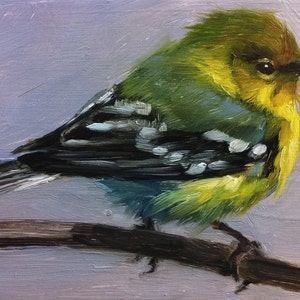 Tiny Pine Warbler Little Bird Painting Open Edition Print image 1