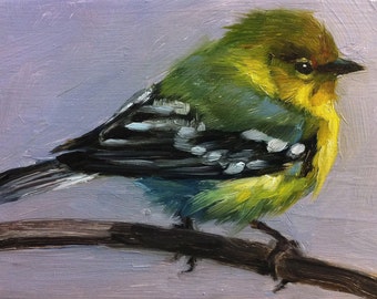 Tiny Pine Warbler - Little Bird Painting - Open Edition Print