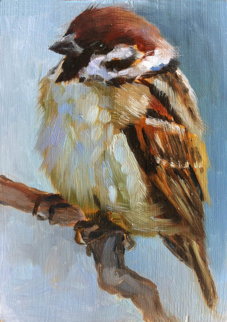 Baby Sparrow Little Sparrow Painting Open Edition Print Etsy