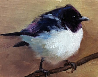 Violet-backed Starling - Bird Painting - Open Edition Print