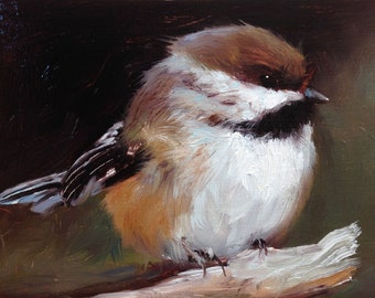 Boreal Chickadee - Open Edition Print of Original oil painting