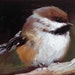 see more listings in the BIRD PRINTS section