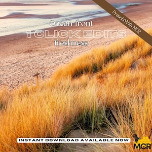 Beach Holiday Lightroom Presets | Vibrant Blue Summer Filter Pack for Mobile & Desktop | Tropical Travel Photo Editing