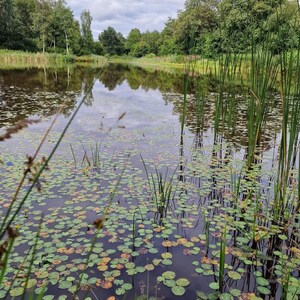 La bella Drenthe