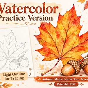 May include: A watercolor practice sheet featuring a vibrant orange and red maple leaf and two brown acorns. The image includes a light line art outline for tracing, with text reading Watercolor Practice Version, Light Outline for Tracing, and Autumn Maple Leaf & Two Acorns Printable PDF.