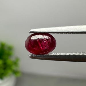 Może przedstawiać: Ciemnoczerwony, owalny kamień szlachetny o gładkiej, polerowanej powierzchni typu kaboszon z widocznymi wewnętrznymi inkluzjami, trzymany pewnie między ząbkowanymi metalowymi końcówkami srebrzystej pęsety na neutralnym, jasnoszarym tle.