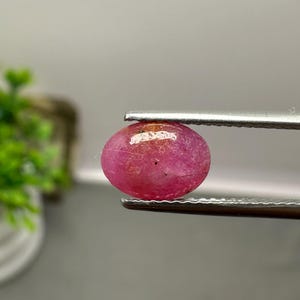 May include: A vibrant, oval-shaped, cabochon-cut ruby gemstone with a deep pinkish-red hue and visible natural inclusions. The stone is held securely between the metal tips of a pair of silver-toned tweezers, showcasing its smooth, polished surface.