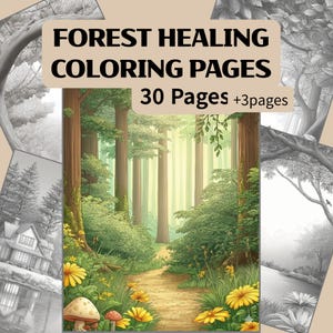 May include: A set of forest-themed coloring pages. The cover shows a colourful illustration of a forest path with tall trees, yellow flowers, and mushrooms. The text reads "FOREST HEALING COLORING PAGES 30 Pages +3pages".