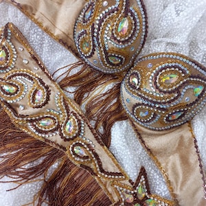 Oriental Dance Costume Handmade Belly Dance Costume Design Belly Dancer Outfit Big Size Orientale Dance Costume