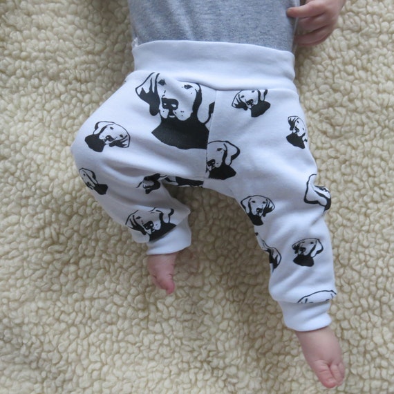 Vizsla leggings 2025