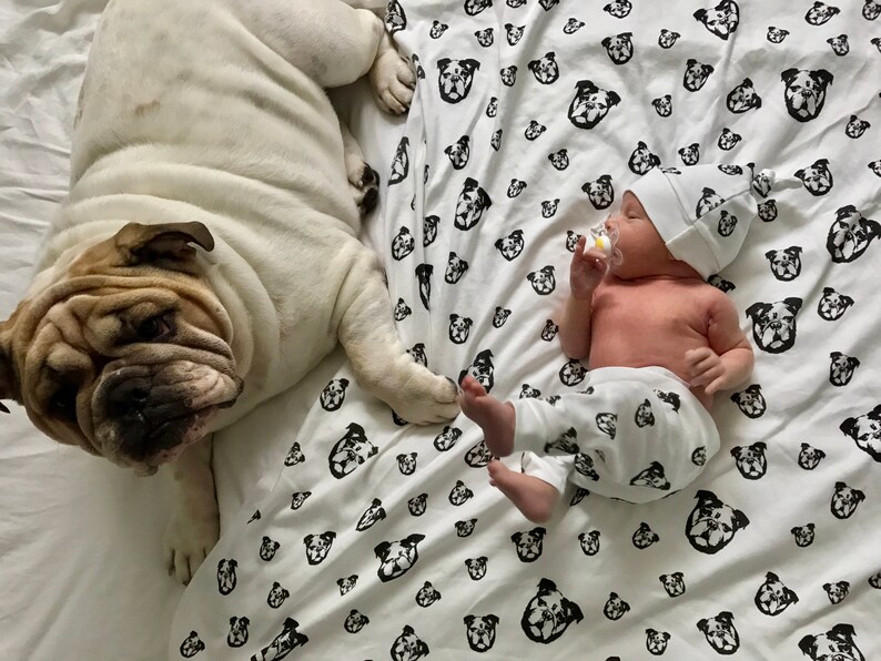 Bulldog Organic Cotton Baby Swaddle Blanket Newborn Swaddle Etsy