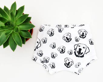 Labrador Retriever Dog Print Baby Shorts Made From Organic Cotton, Newborn To 12 Month Girl Boy Bloomers, Dog Themed Baby Announcement Ideas