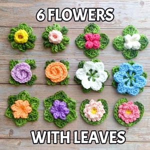 Può includere: Sei fiori all'uncinetto con foglie verdi. I fiori sono di vari colori, tra cui rosa, viola, blu, bianco, arancione e giallo.