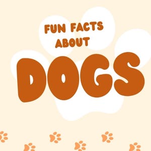 Può includere: Illustrazione con il testo "FUN FACTS ABOUT DOGS". Un cane viene asciugato con un asciugacapelli. Il cane è bianco e arancione. Lo sfondo è arancione chiaro con impronte di zampe.
