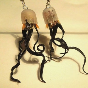 Dark long Black jellyfish