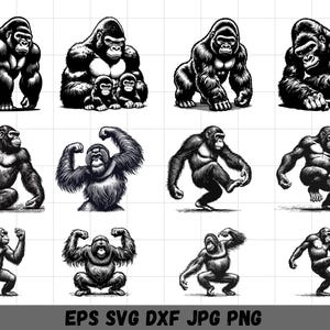 Gorilla Bundle SVG, Wildtier Gorilla SVG Laser geschnitten Vektor-Silhouette PNG Schnitt Dateien Gravur, starker Gorilla Clipart, Affe svg png