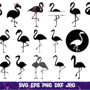 Flamingo Svg, Flamingo Clipart, Summer Svg, Tropical Svg, Vacation Svg, Flamingo Sunglasses Svg, Cut Files For Cricut, Silhouette, Png, Dxf
