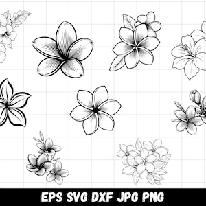 Plumeria Svg-bundel, Plumeria-vector, bloem Plumeria-clipart, botanische Png, zomerbloem Svg, Plumeria Png-sticker, Plumeria gesneden bestanden