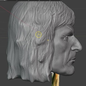 May include: A gray 3D model of a man's head in profile. The model has long, flowing hair and detailed facial features, including a prominent nose and defined jawline. The image is a digital rendering, likely for 3D printing or digital art.