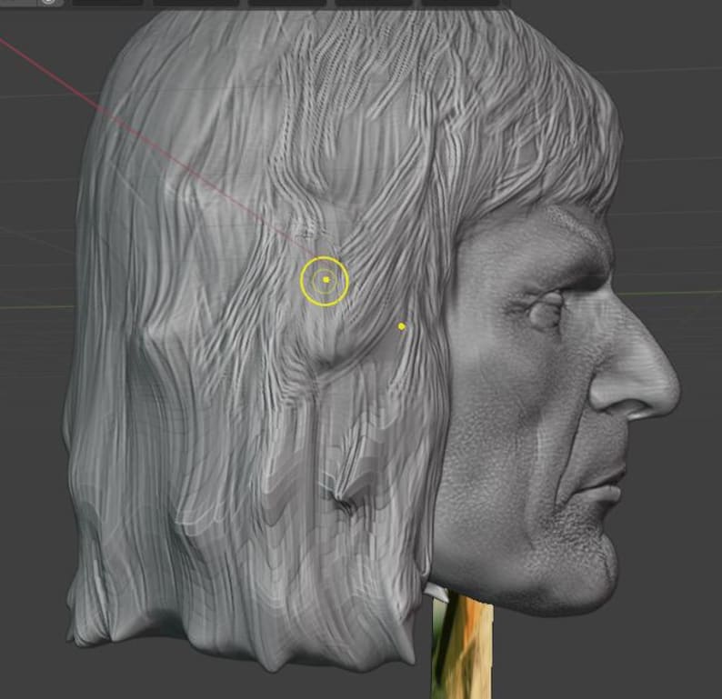 May include: A gray 3D model of a man's head in profile. The model has long, flowing hair and detailed facial features, including a prominent nose and defined jawline. The image is a digital rendering, likely for 3D printing or digital art.
