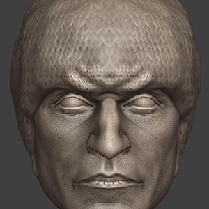 May include: A detailed, grey sculpture of a human face. The face has a stern expression, with furrowed brows and a defined nose. The hair is textured, and the overall style suggests a classical or historical theme.