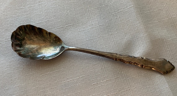 Vintage Flatware Sugar Jelly Spoon MCM 1847 Roger Bros IS