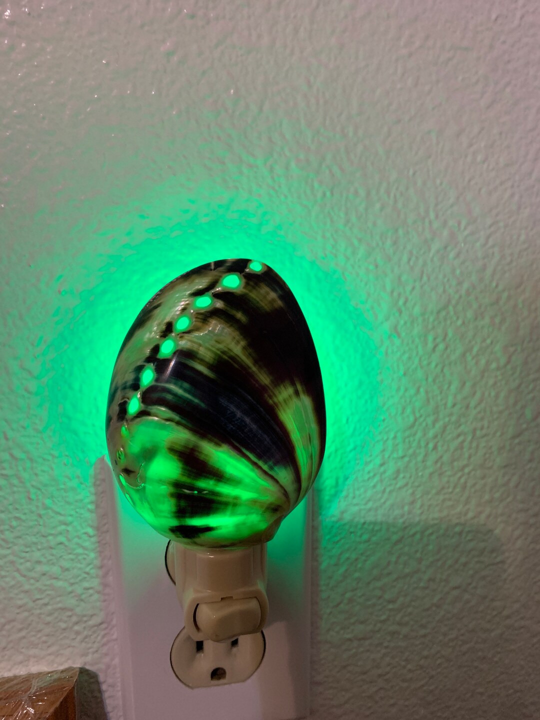 Abalone Seashell Night Light Etsy