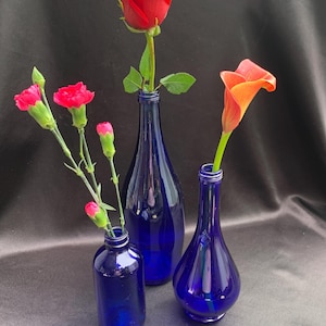 Juego de tres botellas de vidrio azul cobalto de colección instantánea