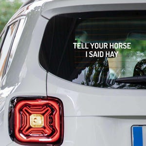Tell Your Horse I Said Hay Decal, Funny Horse Car Sticker, Western Equestrian Bumper Decal, Horse Lover Window Decal, Horse Vinyl Decal