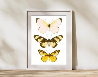 Peut inclure: Une affiche encadrée présentant trois illustrations de papillons. Le papillon supérieur est jaune pâle, celui du milieu est brun foncé et jaune, et celui du bas est jaune vif. Les papillons sont sur fond blanc.
