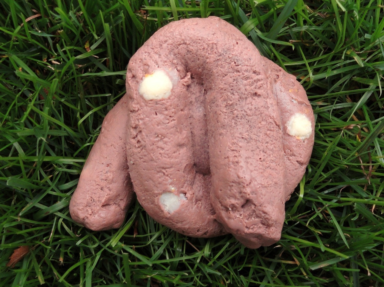 Dog Poop with EXTRA bits of Corn Soap Etsy