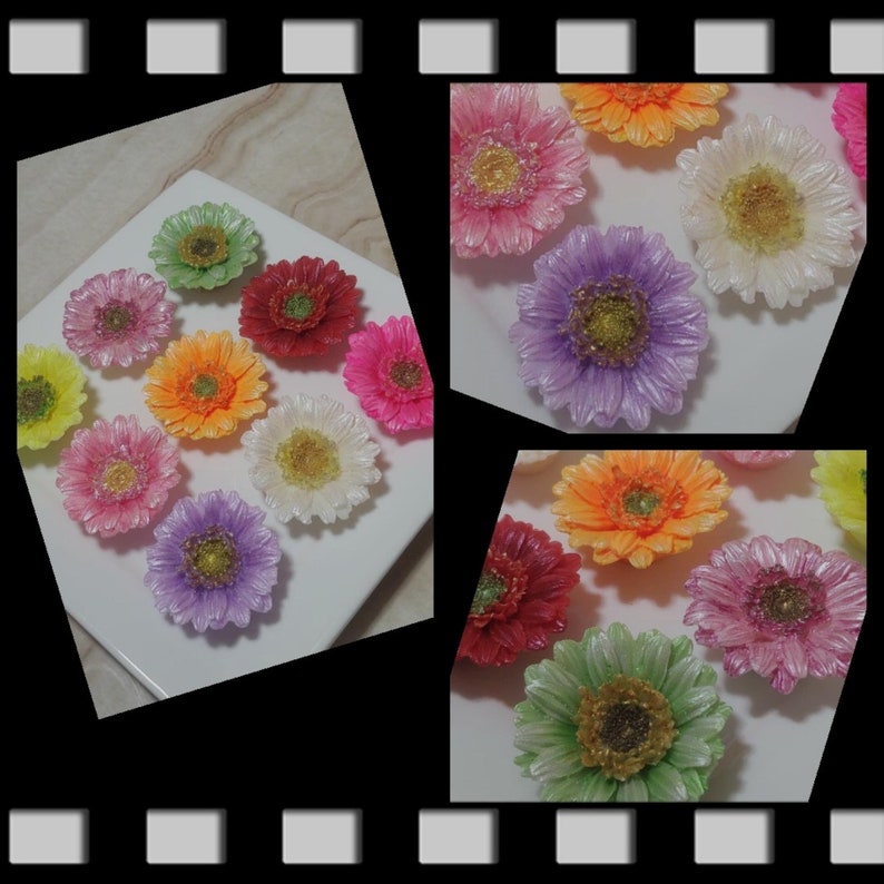 Gerbera Daisies Gift Set of 9 Flowers Etsy