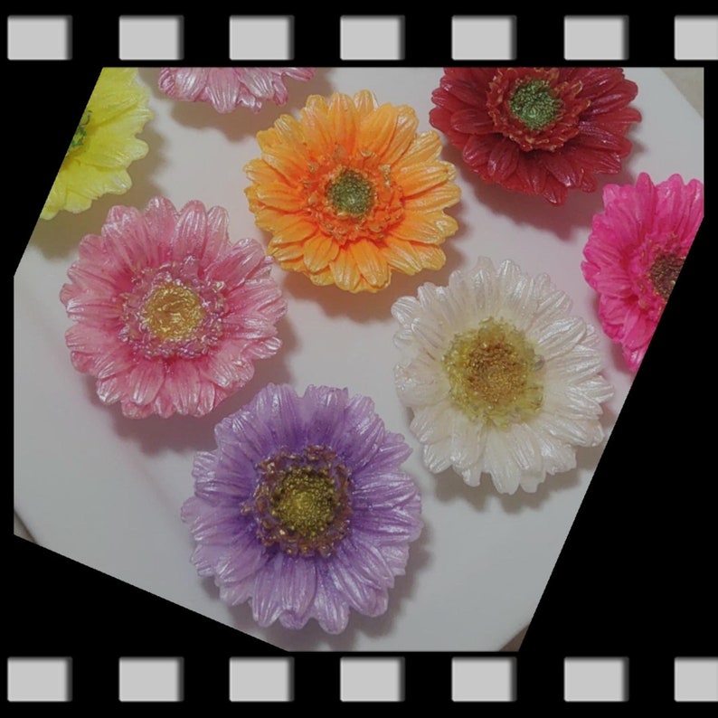 Gerbera Daisies Gift Set of 9 Flowers Etsy