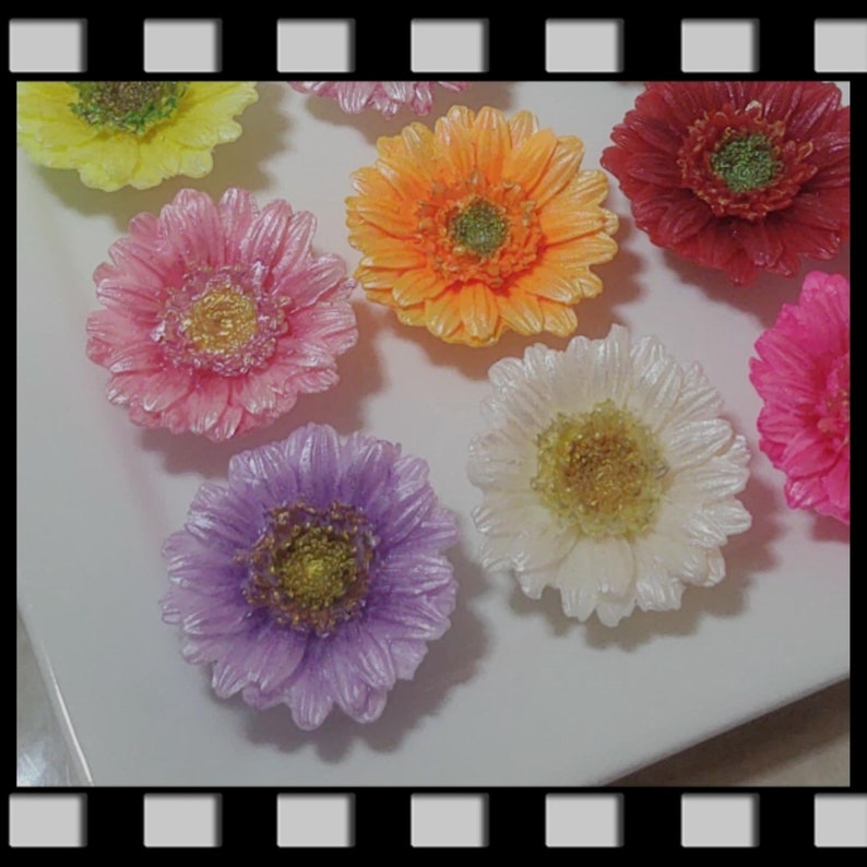 Gerbera Daisies Gift Set of 9 Flowers Etsy
