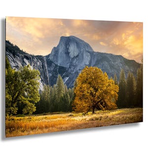 Yosemite Ansel Adams Tree-foto • Zonsopganglandschapsafdruk • Halve koepel muurkunst • Herfstboom beeldende kunst • Ochtendfotografie Yosemite